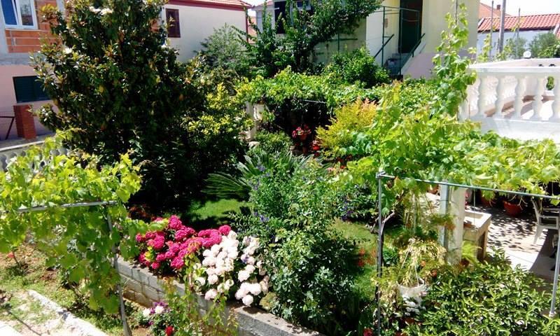Apartment Matovina Zadar Luaran gambar